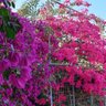 نور profil fotoğrafı