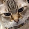 Profilbild von keri