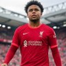 Фото профиля LFC Weston McKennie Burner