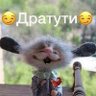 Таблетка. 的头像