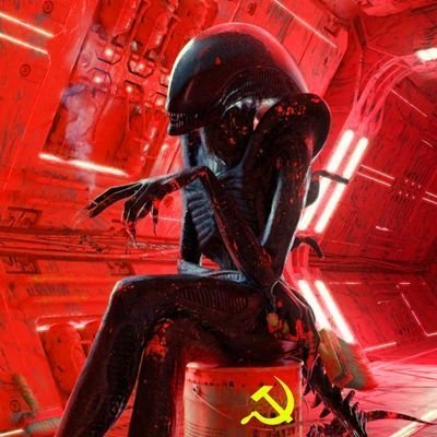 FuiBionda's profile picture