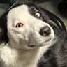 Profilbild von Bron Z