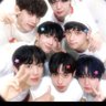 Фото профиля shoucii 🦋 EVNNE ✨