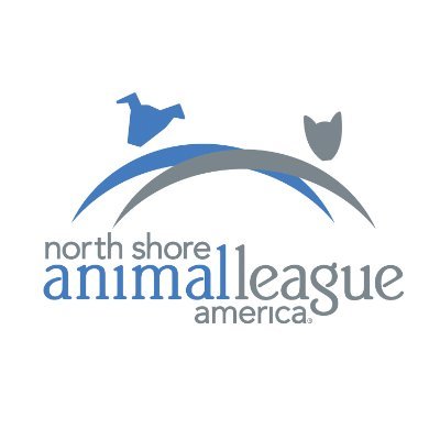 AnimalLeague's profile picture