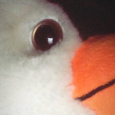 lilgiela33's profile picture