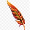 Pluma Argentina's profile picture