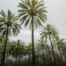 Фото профиля Rasool Al Saadi