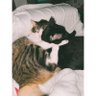 Florencia's profile picture
