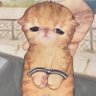 MC's profile picture