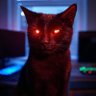 Фото профиля daahhvid