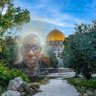 Amine Mohammed Amine 的头像