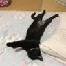 すすむくん 的头像