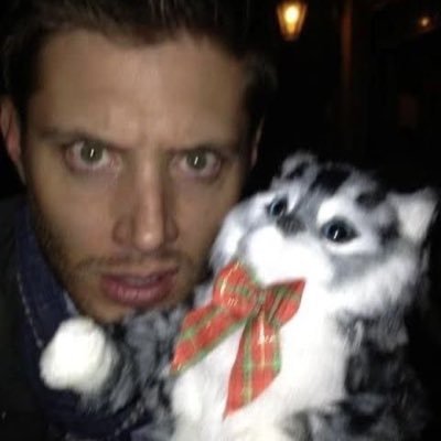 SHADOWlZED's profile picture