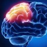 ObssesifBrainSex's profile picture