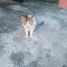 Sapai rita's profile picture