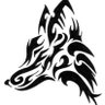 JoseFoxM 🔥🦊🔥's profile picture