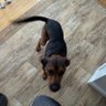 teeny's profile picture