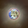 きみ profil fotoğrafı