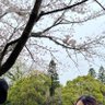 きゅうり's profile picture