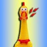 Squawk 🐓 的头像