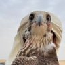Profilbild von ABU ABDULLAH