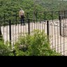 Sirine profil fotoğrafı