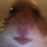 WEB's profile picture