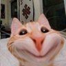 にっく profil fotoğrafı
