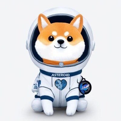 Asteroidcto's profile picture