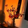 Allen Chen's profile picture