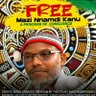 Ihekwuemenwa Obinwa's profile picture
