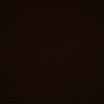 Aniket Tomer profil fotoğrafı