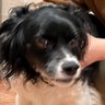 Profilbild von Jian