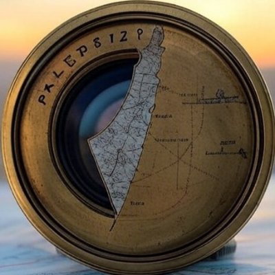 palestinezoom's profile picture