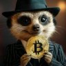 Profilbild von Mr. DonBitcoin
