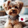 Profilbild von めだか