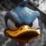 orson's profile picture