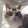 Profilbild von ,,
