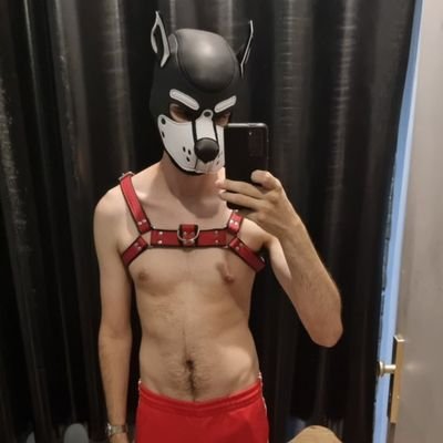 prolapsiboy's profile picture