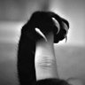 Фото профиля Rigal