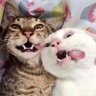 おっさんだよ profil fotoğrafı