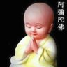 蔡新新's profile picture