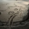 Фото профиля нормальное имя с
