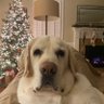 Alexander's profile picture