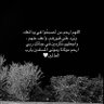Profilbild von شيــخة .