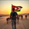 Tamara Burhan Naghaway's profile picture