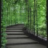 💚 M.Zahee.💚 profil fotoğrafı