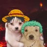 Profilbild von Rahweed Wells
