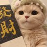 Profilbild von 谢谢