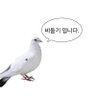 ์น์ฆ์ผ์ดํฌ ็ๅคดๅ